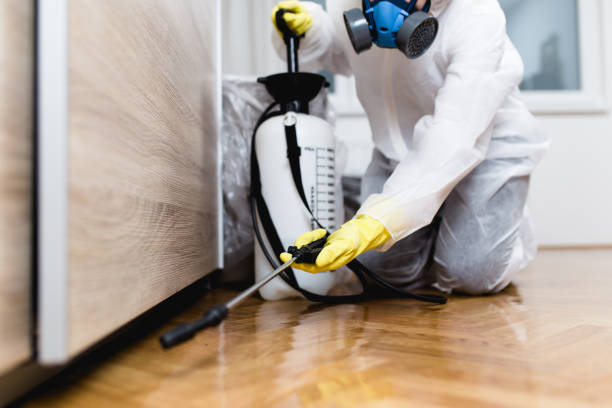 Best Insect Control  in Assumption, IL