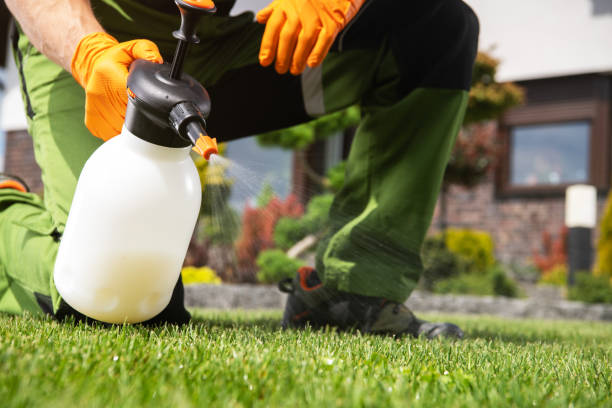 Best Best Pest Control Companies  in Assumption, IL