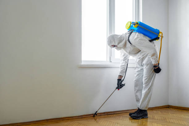 Best Local Pest Control Services  in Assumption, IL