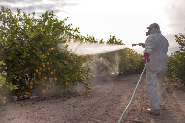 Trusted Assumption, IL Pest Control Experts