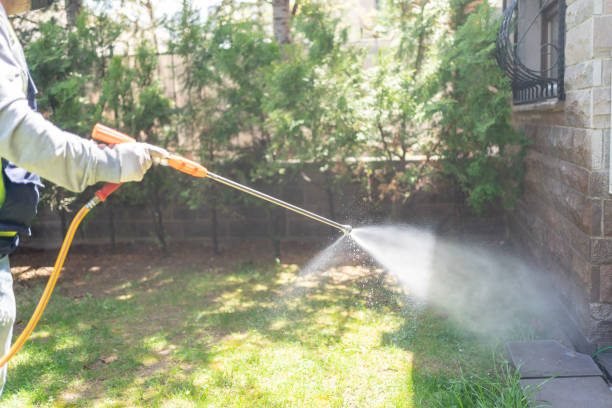 Best Affordable Pest Control Services  in Assumption, IL