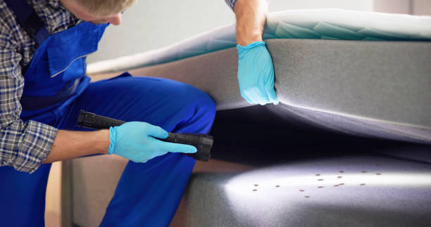 Best Pest Control Near Me  in Assumption, IL