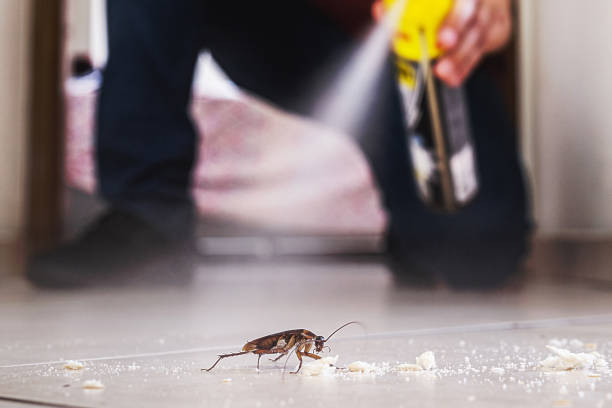 Best Wildlife Control Services  in Assumption, IL