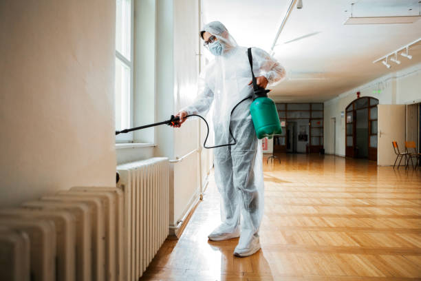Best Wildlife Control Services  in Assumption, IL