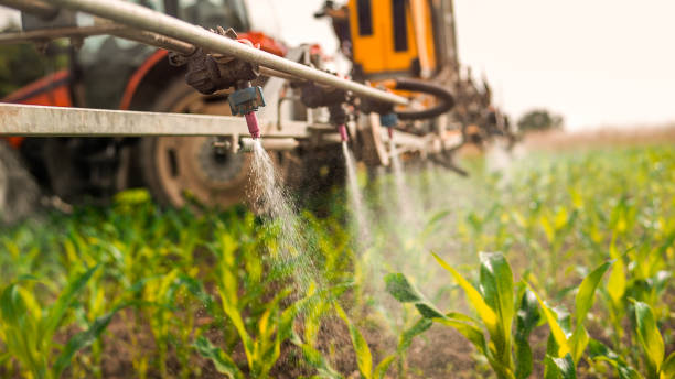 Best Pest Control Treatment  in Assumption, IL
