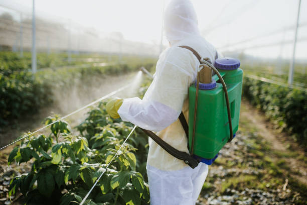 Best Ant Control Services  in Assumption, IL